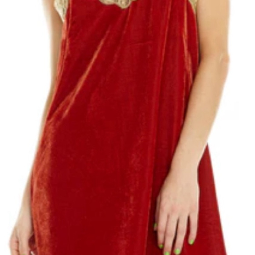 Aratta Red Velvet Slip with Gold Lace - Picture 5 of 6